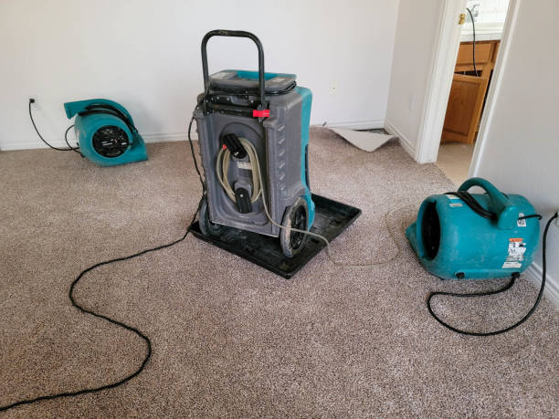 Best 24-hour water damage restoration  in Radium Springs, NM