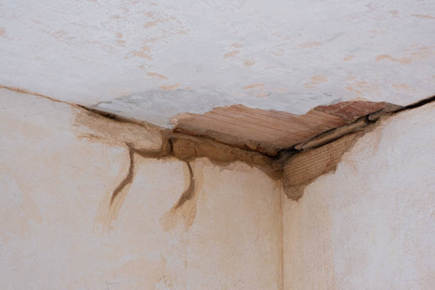 Best Flooded house restoration  in Radium Springs, NM