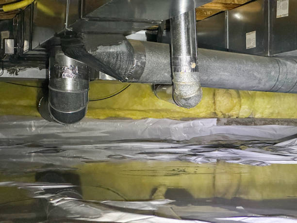 Best Water damage restoration near me  in Radium Springs, NM
