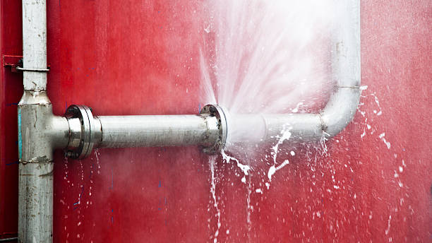 Best Water damage restoration specialists  in Radium Springs, NM