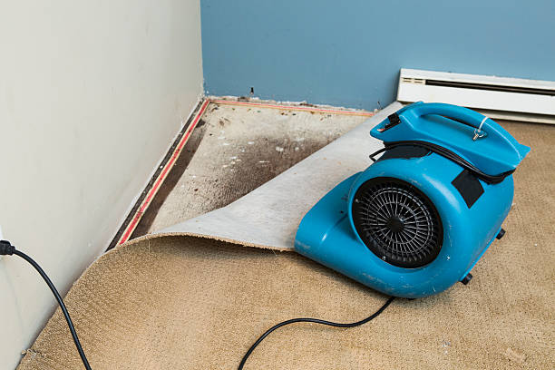 Best Residential water damage restoration  in Radium Springs, NM